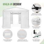 EAGLE PEAK 10x10 Portable Walk in Greenhouse, Pop Up Indoor Outdoor Greenhouse, Green House Kit with Zippered Roll-Up Doors and Windows, PE Cover, Clear/White