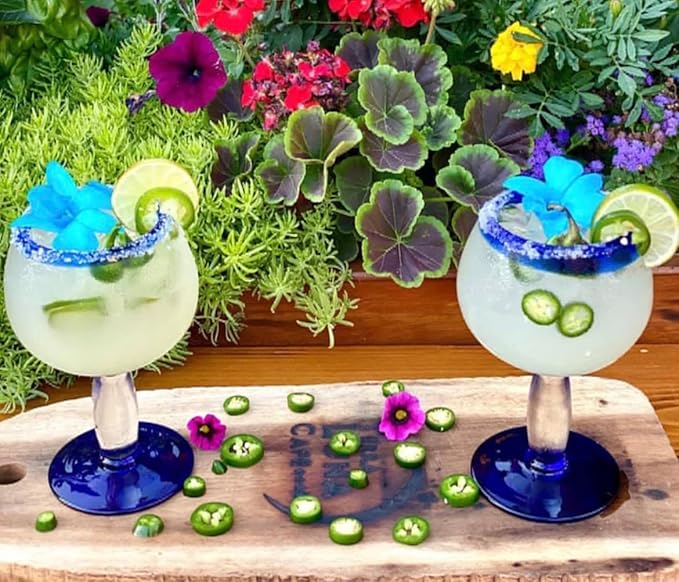 Miami Fresh Orchid Flower OrchidClub USA Sunne Tropical Loose Bloom Head DIY Lei food drink decoration (CANDY 50)