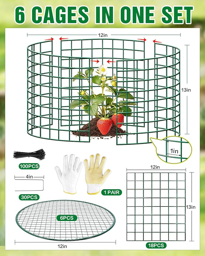 Breeze Touch 6 Pcs Plant Protectors from Animals, 12" H x 12" D Metal Plant Cages for Outdoor Plants, Sturdy Garden Cloches for Plants, Anti-Scratch Chicken Wire Mesh/Fencing, Strawberry Protector