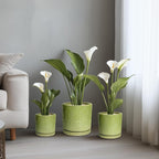 Ceramic Planter - 12 Inch Pots for Plants Indoor Outdoor, Round Large Flower Pots with Drainage Hole and Saucer, Decorative Boho Planter, Home Office Decor, Plant Lover Gifts, Green