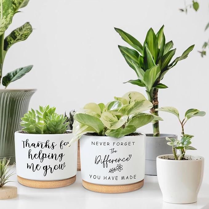 Funny Succulent Planters for Indoor Plants, Coworker Thank You Gifts, Farewell Going Away Appreciation Inspirational 3.5 inch Ceramic Cactus Planter Pots for Women Men Friend Boss Lady (No Plants)
