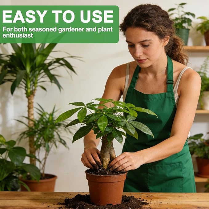 All-Natural Money Tree Soil & Indoor Potting Mix 1QT- Drainage-Enhanced Plant Soil for Healthy Indoor Plants