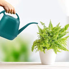Fasmov Plastic Watering Can, 1-Gallon, Green