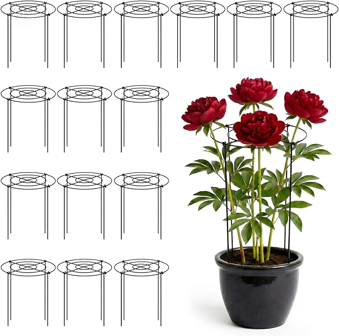 Geelin 15 Pack Peony Cages Bulk 12'' Dx 16'' H Peony Cages and Supports Heavy Duty Metal Plants Grow Through Support Rings Hoops for Outdoor Plants Flower Strawberry Tomato Strawberry(Black)