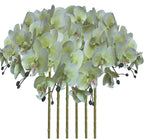 FagusHome 32 Inch Artificial Phalaenopsis Flowers 6 Pcs Artificial Orchid Flowers Stem Plants for Home Décor (Light Green), FH1000143