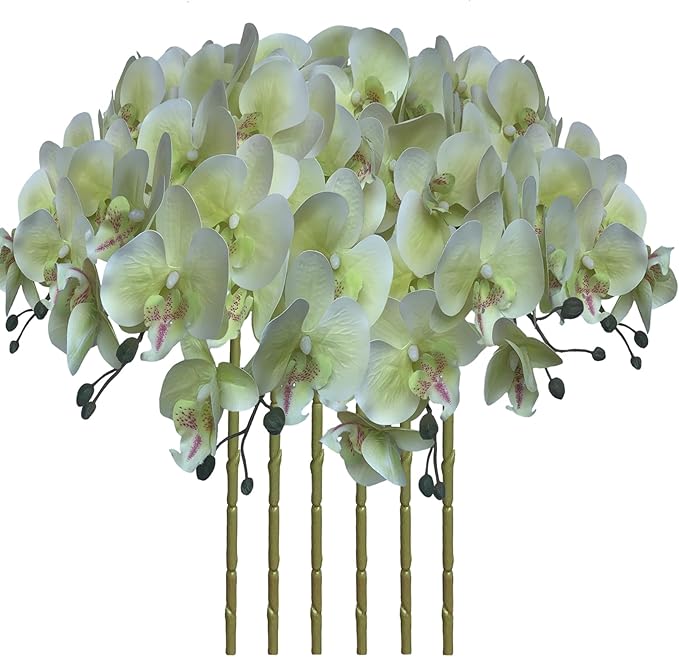 FagusHome 32 Inch Artificial Phalaenopsis Flowers 6 Pcs Artificial Orchid Flowers Stem Plants for Home Décor (Light Green), FH1000143