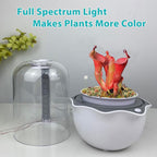 Venus Fly Trap Terrarium Pot with Timer Grow Light&Fan,Plant Terrarium kit for Moss&Cactus,Smart Planter for Carnivorous Plants&Butterwort,Mother's Day Birthday Gifts for Women Garden Lover(no Plant)