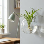 Yarlung 6 Pack Wall Hanging Planters Terrarium, 4.7 Inch Glass Oblate Globe Plants Containers, Wall Mount Clear Flower Vase for Propagating Hydroponics Plants, Air Plants (Plants Not Included)