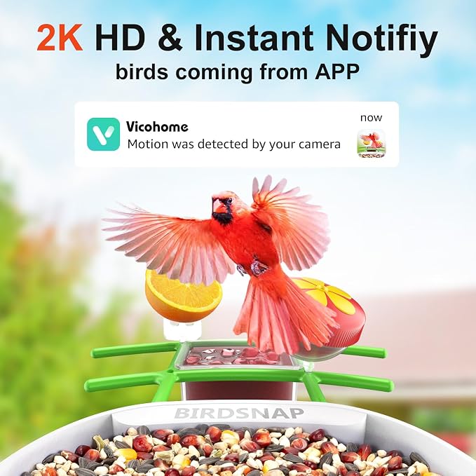 birdsnap® PAV-Bird Feeder with Camera,2K HD with 64GB Card, AI Identify Smart Bird House Cam Solar Panel,Live Stream,Motion Detection,Auto Record Video for Backyard Outdoors,Ideal Gift for Bird Lover