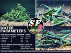 SF Aquatic™ 10 Green Diamond High Grade Neocaridina Live Freshwater Aquarium Shrimps Fully Mature Breeding Age. Live Arrival Guarantee.