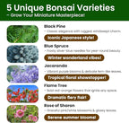 Bonsai Tree Kit for Beginners - 5 Unique Japanese Bonsai Seeds, DIY Indoor Gardening Crafts for Adults | Valentine's, Mother's Day & Birthday Gifts for Women and Men | Complete Starter Kit with Tools
