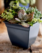 The HC Companies 6 Inch Eclipse Square Planter with Saucer - Indoor Outdoor Plant Pot for Flowers, Vegetables, and Herbs, Warm Gray (Pack of 2)