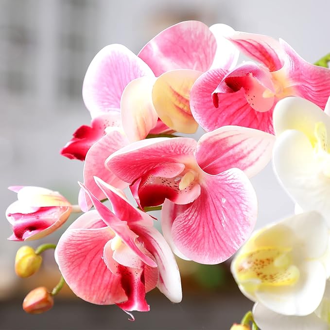 Chuangdi 2 Pieces Artificial Phalaenopsis with Suction Cups Terrarium Plant Decoration Reptile Habitat Plant Decor for Hermit Crab Lizards Geckos Snake Reptile (Dark Pink, White Yellow)