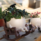 Smily Face Planter Pot Cute Resin Flower Head Planters for Indoor Outdoor Plants Unique Sitting Rocking Chairs Succulent Pots for String of Pearls Plant Live Gift Ideals with Drainage Hole
