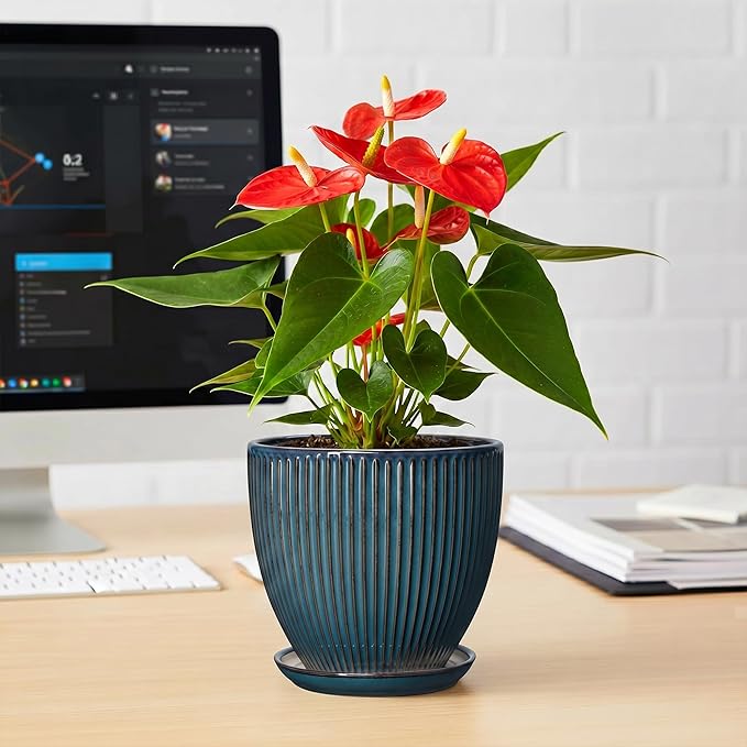 6 Inch Plant Pot, Ceramic Flower Pots for Indoor Plants, Round Planters with Drainage Hole and Saucer, Decorative Small Modern Flower Pots, Home Room Decor, House Warming Gifts, Retro Blue