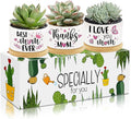 Tarklanda 3Pcs Gifts for Mom Best Mom Ever Succulent Pots Mini Ceramic Plant Pots with Bamboo Tray Pot Planters Birthday Thanksgiving for Mother-in-Law Wife Plants Not Included