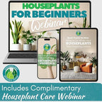 Root Rot Repair for Houseplants – Root Supplement & Recovery Drops for Overwatering or Shock | Heals Roots, Prevents Yellowing, Brown Spots & Dropping Leaves (8 oz)