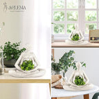 Planters for Outdoor Indoor Plants Succulent Planter Plant Flower Pots Unique Head Face Garden Vase with Drainage Hole Woman Yoga