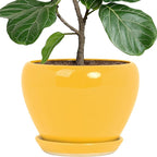 Deep Dream 10 Inch Plant Pot- Ceramic Planter Pot Round Plant Pots for Indoor Plants Outdoor Large Flower Pot with Drainage Holes & Trays, Yellow