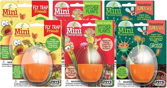 Toys By Nature Mini Terrarium Carnivorous Plant Bundle, 100% USA Made Complete Starter Kit Includes 2 Each of Flytraps, Pitcher Plants, Sundews, Easy to Grow Planting Seeds Just Add Water