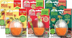 Toys By Nature Mini Terrarium Carnivorous Plant Bundle, 100% USA Made Complete Starter Kit Includes 2 Each of Flytraps, Pitcher Plants, Sundews, Easy to Grow Planting Seeds Just Add Water