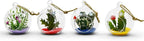 WGV Hanging Terrarium Globe, Width 2.25", Height 2.75", DIY Air Succulent Planter, Clear Glass Vase Orb with Flat Bottom, Candle Holder for Windowsill Outdoor Garden Decor, 6 Pieces Bulk