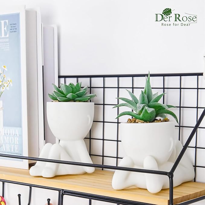 Der Rose 2 Pack Fake Plants Succulents Plants Artificial for Living Room Home Bathroom Office Decor