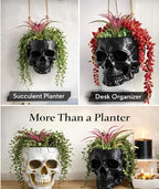 Resin Air Plant Holders,Tilandsia Container,Gothic Skeleton Planter,Halloween Plant Pot,Tillandsia Pot, Skull Table Top Display Planters for Air Plants and Other Mini Plants (White No.1, 7*5*3.2'')