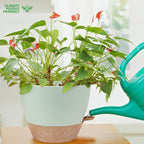 YNNICO 12 inch Large Self Watering Plant Pots, Flower Pots Planters with Multi Mesh Drainage Holes for Indoor Outdoor Garden Plants and Flowers
