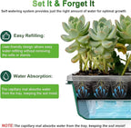 TONYFUL Seed Starter Tray with Grow Light, 120-Cell Seed Starter Kit with 4.07” Humidity Dome, Indoor Seedling Starter Tray, Seed Starting Tray for Plant Germination, Seeds Growing