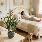 Olive Branches Artificial Plants Décor Indoor 17.72'' Tall Fake Olive Branch with Rustic Black Cement Planter for Vintage Room Bathroom Bedroom Kitchen Office Dese Coffee Table Décor