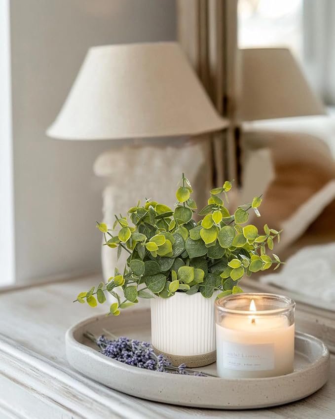 Coferset Small Fake Plants Eucalyptus Potted Artificial Plants Faux Plant Greenery in Ceramic Pot for Bedroom Kitchen House Living Room Shelves Farmhouse Table Office Desk Bathroom Home Indoor Decor