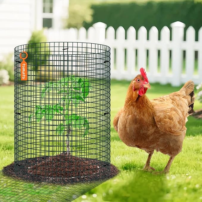 5 Pack Wire Plant Protector, 16"x12" Detachable Metal Plant Protectors Mesh, Garden Plant Protectors for Shrubs Flowers Vegetables to Keep Rabbit & Chicken Animals Out
