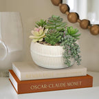 DILATATA Artificial Succulent Plants in Pot 5.5 Inch Fake Succulents Arrangement Potted Plant in White Ceramic Planter Bowl for Home Office Desk Shelf Living Room Bedroom Bathroom Decor