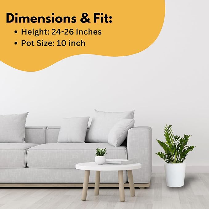 ZZ Green Plant Live in 10 inch Decorativ Pot, Easy Care Low Light Indoor House Plant for Home and Office Decor by United Nursery
