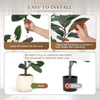 6ft Artificial Rubber Tree with 7 Pcs Magnolia Flowers,Tall Fake Tree with White Planter and Moss Decor,Faux Plants Indoor for Home Living Room Porch Decor