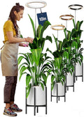 10" Grow Lights for Indoor Plants Full Spectrum, 160 LEDs Large Plant Light for Indoor Plants, Height Adjustable 11"-65" Growing Lamp with Auto On/Off Timer 3/9/12H, 9 Dimmable Brightness,White