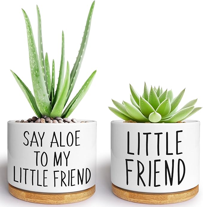Kwtzkuo® 2 Pack- Say Aloe to My Little Friend - Funny Succulent Pots, Cute Small Ceramic Planter Pot with Drainage, Home & Office Succulent Aloe Planter