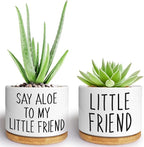 Kwtzkuo® 2 Pack- Say Aloe to My Little Friend - Funny Succulent Pots, Cute Small Ceramic Planter Pot with Drainage, Home & Office Succulent Aloe Planter
