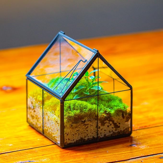 NCYP Mini Glass Terrarium with Lid - 4.25" x 4.25" x 4.92" Small House Shape Close Geometric Planter Pot for Mini Succulents Plant - Handmade, Home Garden Office Decor, Black (Terrarium Only)