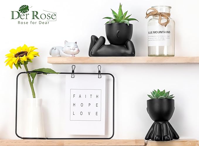 Der Rose Set of 2 Fake Plants Artificial Succulent Plants for Office Desk Accessories Black Bathroom Home Room Aesthetic Decor Indoor