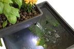 AquaSprouts Fountain: Hydroponic, Aquaponic, Water Garden Kit, Charcoal, 8 Gallons