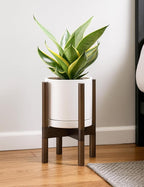 D'vine Dev Ceramic Planter with Walnut Color Stand - 8 Inch Modern Round Flower Pot with Wood Planter Holder, Oatmeal, 55-B-Y-8