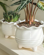 Fayoula Ceramic Planter, 2 Piece Ceramic Planter Set with Drainage Hole for Home and Office, Indoor Plant Potting, Suitable for Succulents, Bonsai, Snake Grass and Money Tree, etc. (White)