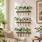 3 Tier Wall Hanging Propagation Stations with 15 Glass Test Tubes, Plant Terrarium Propagation Tubes Planter for Hydroponic Cuttings, Window Decor Gift for Plant Lovers