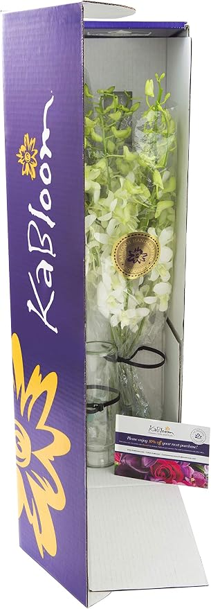 KaBloom - Exotic Perla White Orchid Bouquet of White Orchids with Vase - Fresh Flowers for Birthday, Valentine's & Mother's Day