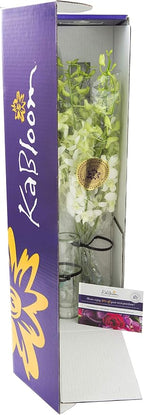 KaBloom - Exotic Perla White Orchid Bouquet of White Orchids with Vase - Fresh Flowers for Birthday, Valentine's & Mother's Day