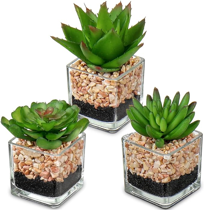 Briful Mini Fake Plants 3 Packs Cute Succulents Artificial Plants in Square Glass Vase Pot Potted Faux Succuletns for Living Room Dining Room Bathroom Kitchen Windowsill Table Decor