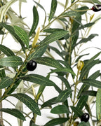 Artificial Olive Tree 5FT - Tall Faux Olive Trees Indoor with White Planter, Large Fake Olive Plants Realistic Branches Natural Thick Trunk and Fruits for Home House Office Decor