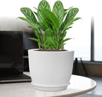UOUZ 12/10/9 Large Plant Pots, Plastic Planters with Drainage Holes and Saucers for Indoor Outdoor Plants Flowers, White